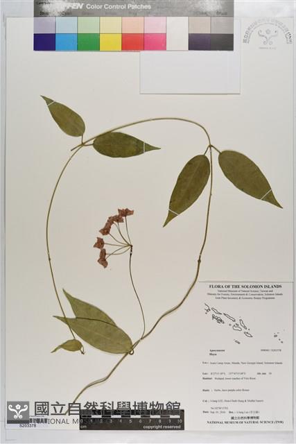 登錄號:S203378藏品圖，第1張