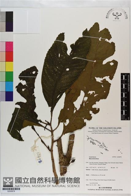 登錄號:S200878藏品圖，第1張