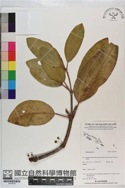 登錄號:S200978藏品圖，第1張