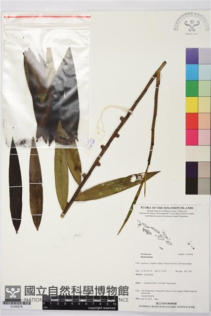 登錄號:S195978藏品圖，第1張