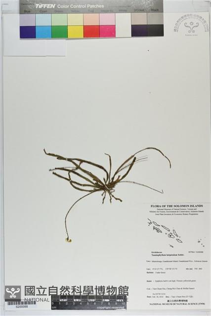 登錄號:S200088藏品圖，第1張