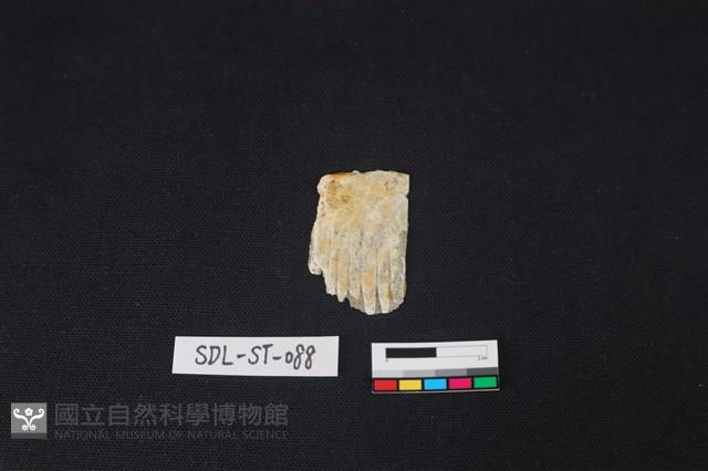 玉飾藏品圖，第1張