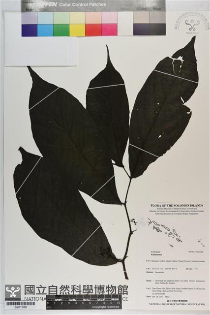 登錄號:S201088藏品圖，第1張