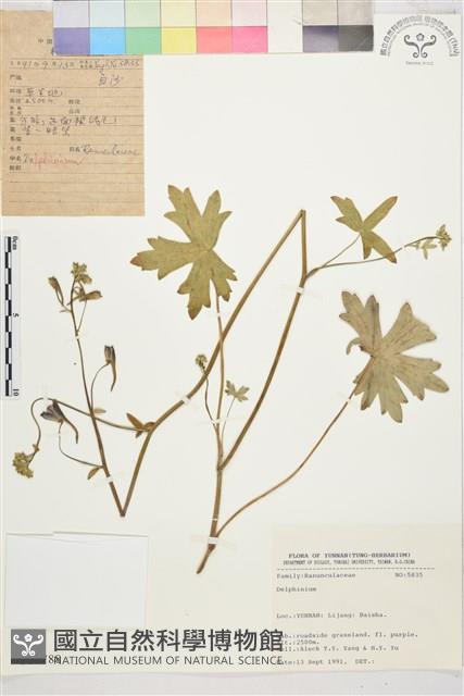 登錄號:S025788藏品圖，第1張