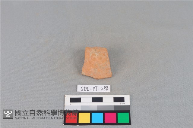 陶片藏品圖，第1張