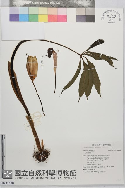 登錄號:S231488藏品圖，第1張