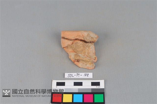 連杯形器藏品圖，第1張