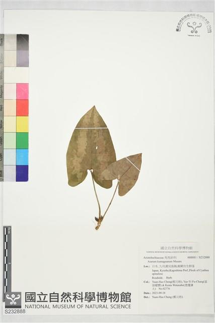 登錄號:S232888藏品圖，第1張