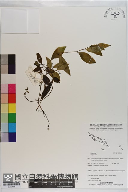 登錄號:S200888藏品圖，第1張