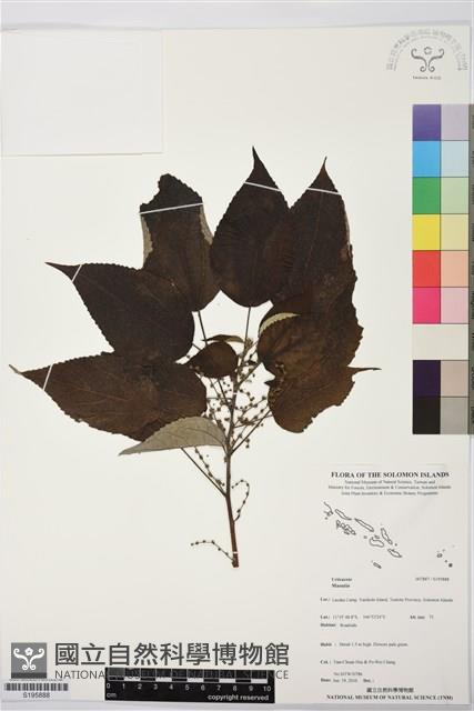 登錄號:S195888藏品圖，第1張