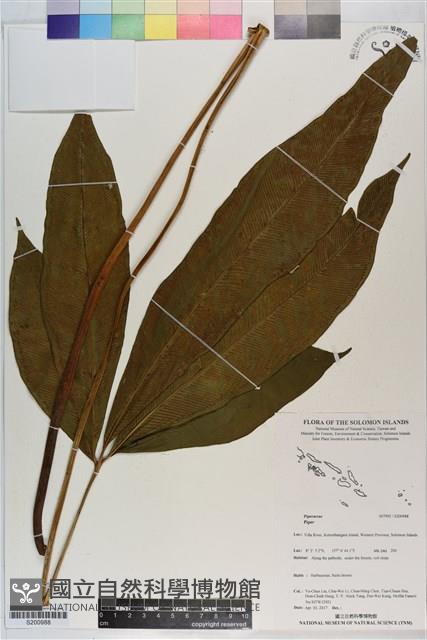 登錄號:S200988藏品圖，第1張