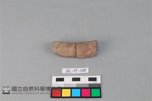 陶網墜藏品圖，第1張