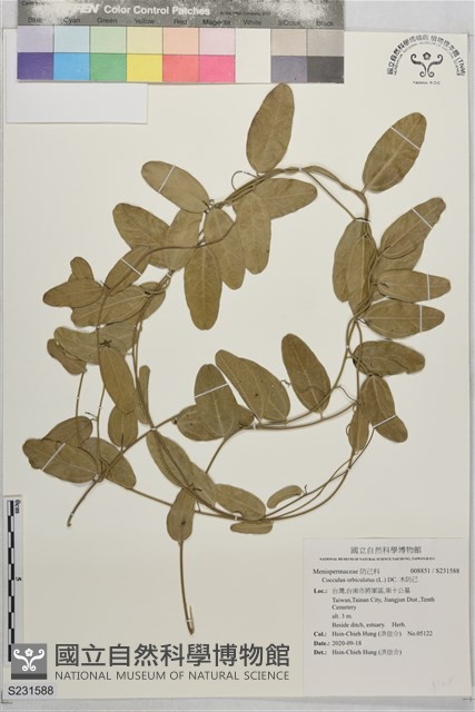 木防己藏品圖，第1張