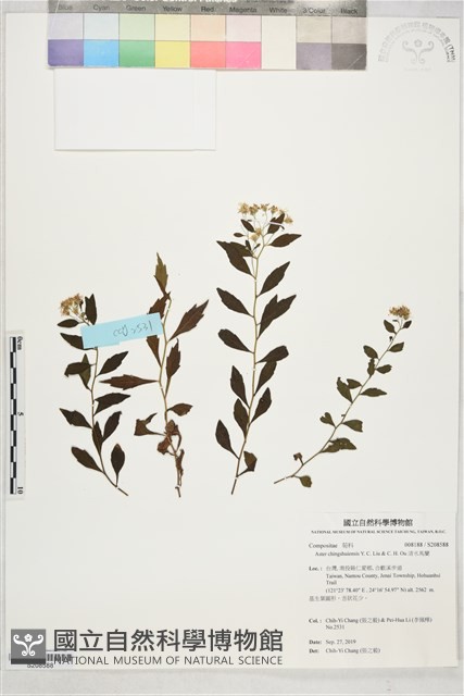 清水馬蘭藏品圖，第1張