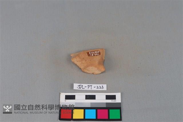 陶片藏品圖，第1張