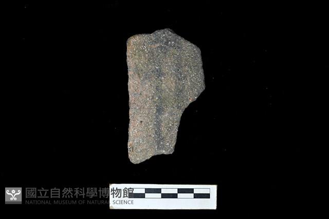 陶片藏品圖，第1張