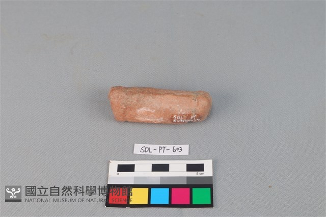 陶網墜藏品圖，第1張