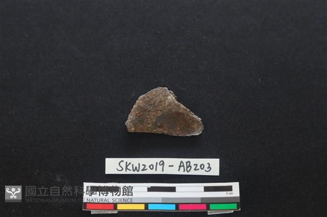 獸骨藏品圖，第1張