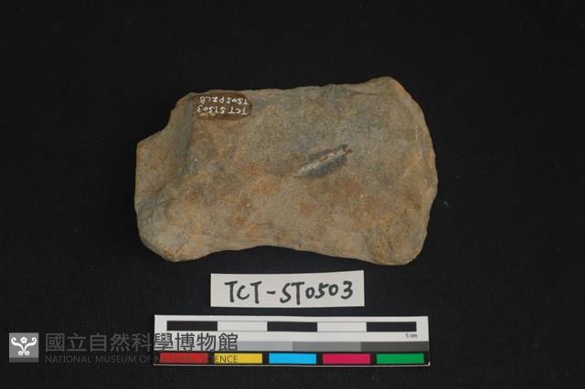 網墜藏品圖，第1張