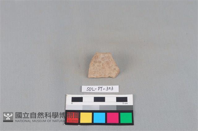 陶片藏品圖，第1張