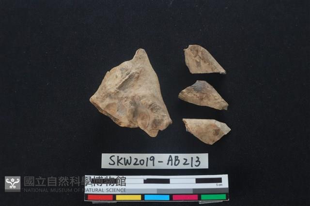 獸骨藏品圖，第1張