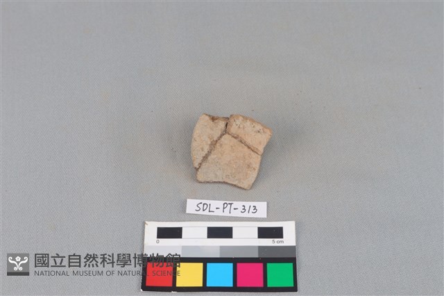 陶片藏品圖，第1張