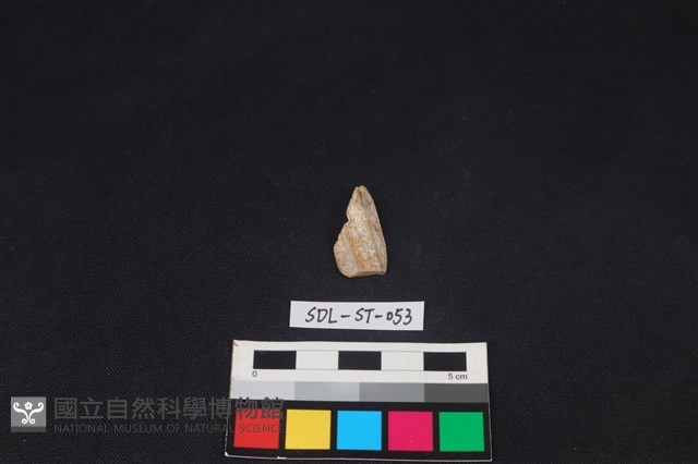 石器藏品圖，第1張