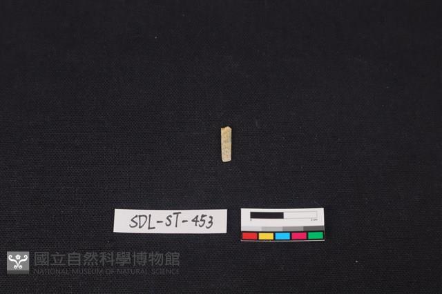 玉飾藏品圖，第1張