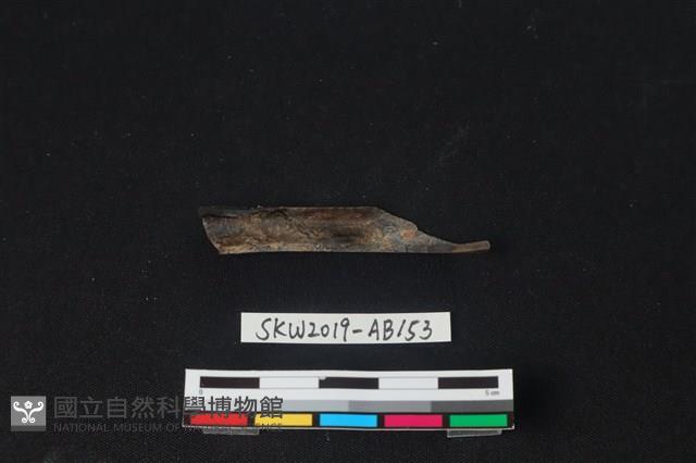 獸骨藏品圖，第1張
