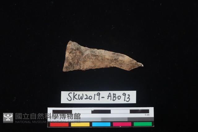 獸骨藏品圖，第1張