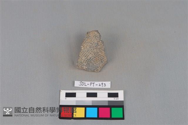 陶片藏品圖，第1張