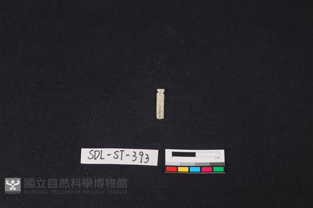 玉飾藏品圖，第1張