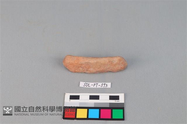 陶網墜藏品圖，第1張