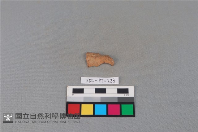 陶片藏品圖，第1張