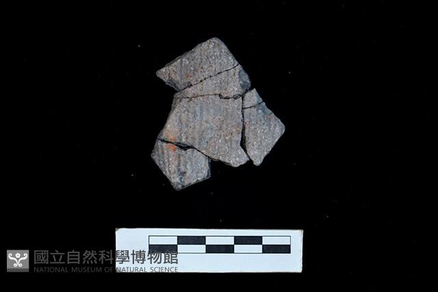 陶片藏品圖，第1張