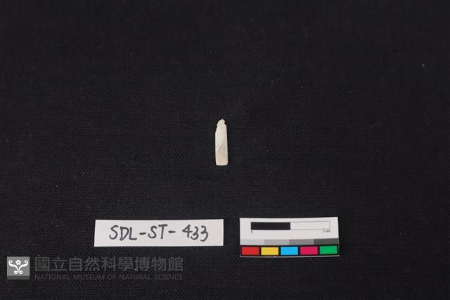 玉飾藏品圖，第1張