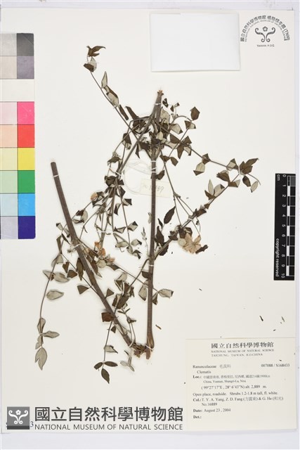 登錄號:S168433藏品圖，第1張