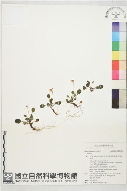 登錄號:S229833藏品圖，第1張