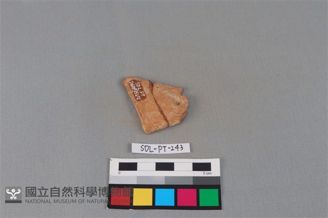 陶片藏品圖，第1張