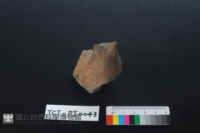陶蓋鈕藏品圖，第1張