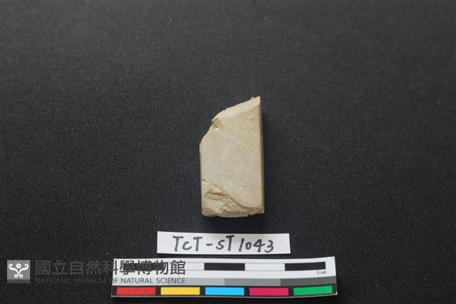 錛鑿形器藏品圖，第1張