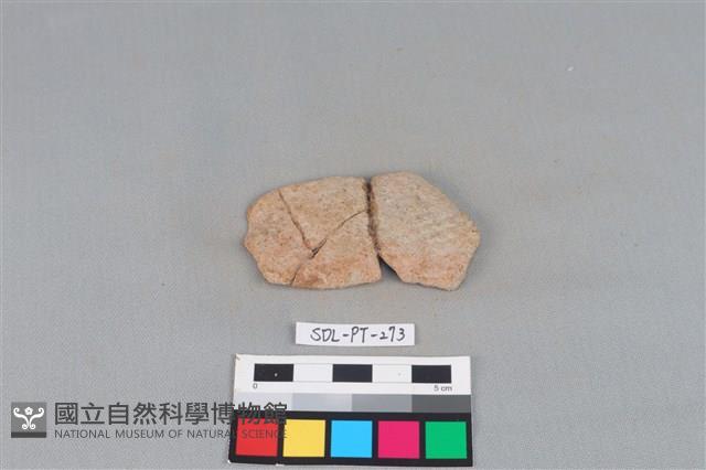 陶片藏品圖，第1張