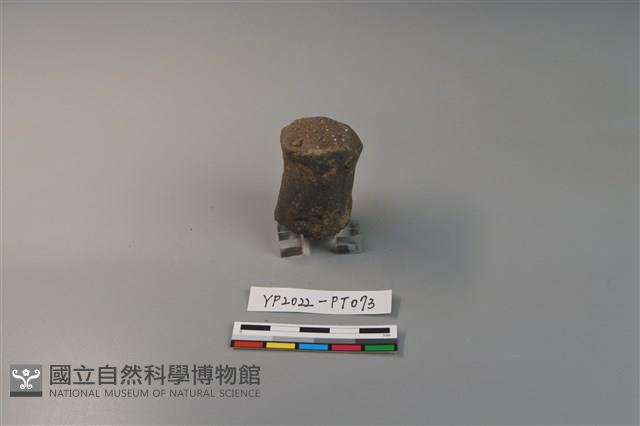 陶鈕藏品圖，第1張