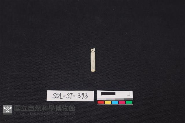 玉飾藏品圖，第1張