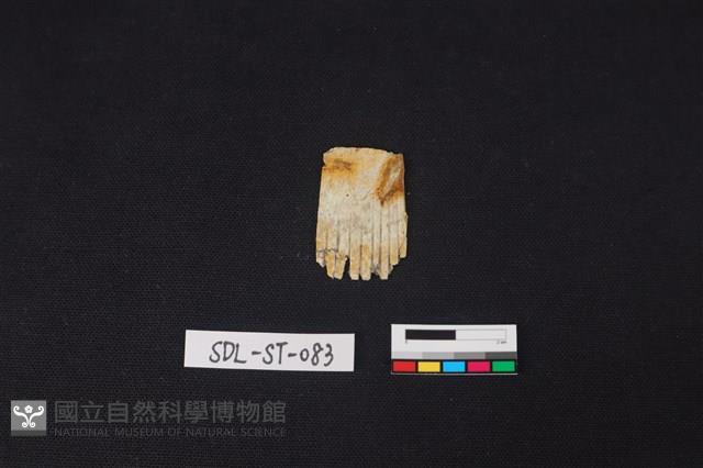 玉飾藏品圖，第1張