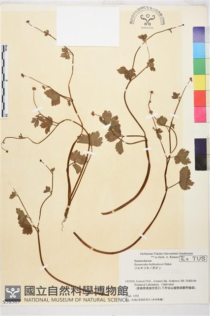 登錄號:S058383藏品圖，第1張