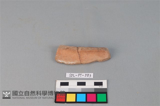 陶網墜藏品圖，第1張