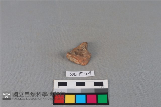 陶片藏品圖，第1張