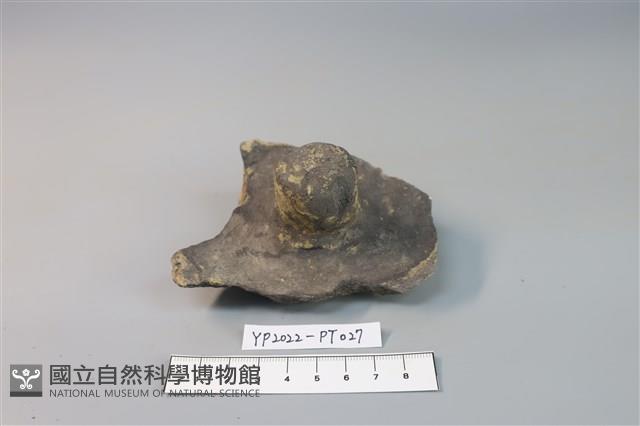 碗/淺盤型陶蓋藏品圖，第1張