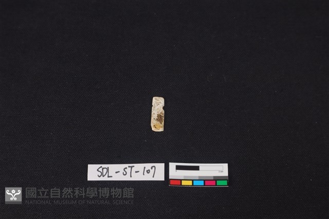 玉飾藏品圖，第1張
